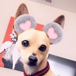 Meet your Posher, Monique